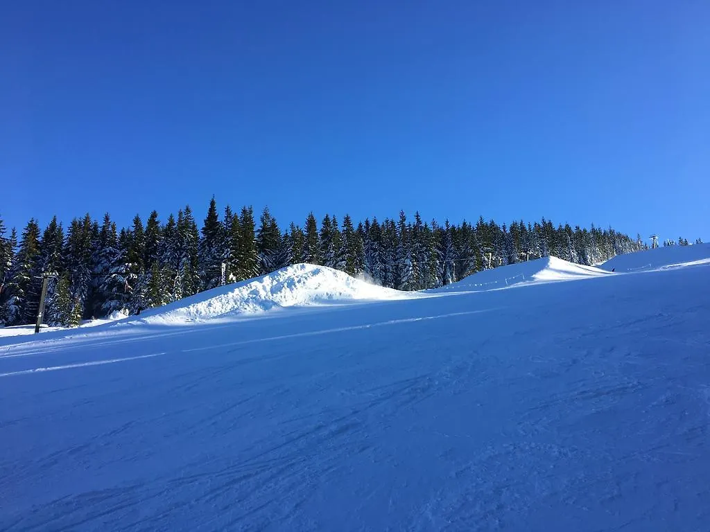 Appartement Le Mont Špindlerův Mlýn 0*, Špindlerŭv Mlýn République tchèque